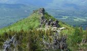 Tour Zu Fuß Nieder Lindewiese - [Z] Ramzová - Obří skály - Photo 2