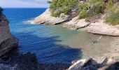 Randonnée Marche Patrimonio - sentier du littoral de St Florent à Punta di Saeta - Photo 7