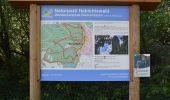 Tocht Te voet Onbekend - Bismarckturm, Naturparkweg 4 - Photo 8