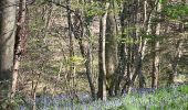 Excursión Senderismo Braine-le-Château - #230421 - Braine-le-Château > Bois d'Apecheau et d'Oisquerq, dont 4 km du GR 127 - Photo 10