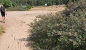 Tocht Noords wandelen Fort-Mahon-Plage - fort mahon 2 Isabelle  - Photo 12