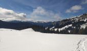 Randonnée Raquettes à neige Fillière - 21 février 2020 plateau des Glieres - Photo 3
