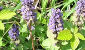 Randonnée Marche Limbourg - Limbourg ( promenade dans les bois) - Photo 8