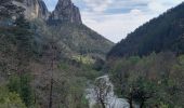 Trail Walking Massegros Causses Gorges - GR DE PAYS Causse Mejean et Gorges du Tarn  - Photo 8