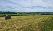 Tour Wandern Bastnach - Bastogne Mesa 280624 - Photo 8