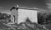 Trail Walking Châteauneuf-Villevieille - Châteauneuf - Villevieille - Mont Macaron  - Photo 4