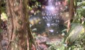 Trail Trail Petit-Bourg - IRA - Photo 3