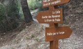 Excursión Senderismo Peille - La Lourquiere au départ de la gare de Grave de Peille - Photo 5