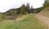 Percorso Marcia Villeneuve-de-Berg - la forêt des sens Villeneuve de Berg  - Photo 13