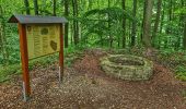 Tour Zu Fuß Hofgeismar - Rund um den Schöneberg - Photo 8