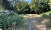 Randonnée Marche Rethondes - en Forêt de Laigue, 04_07_2025_sur les Routes du Grand Octogone, du Plessis-Brion, de Sainte-Croix, du Petit Octogone et de la Belle Assise - Photo 12