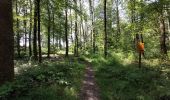 Tocht Stappen Champagney - parcours sportif des Épaisses à Champagney - Photo 3