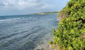 Tocht Lopen Sainte-Anne - Bois Jolan le littoral  - Photo 8