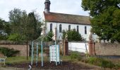 Tocht Te voet Gemünden am Main - Rote Schnepfe, Gemünden - Kloster Schönau - Photo 4