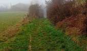 Tocht Stappen Hannuit - moxhe reco 12 24 - Photo 13