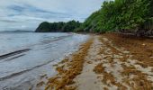 Randonnée Marche La Trinité - Anse Cosmy - Anse Azerot - Photo 1