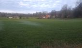 Randonnée Marche Montigny-lès-Arsures - Montigny les Arsures - Photo 6