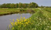 Randonnée A pied Alphen-sur-le-Rhin - Steilrandroute - Photo 3