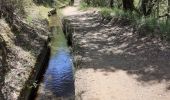 Trail Walking Carcès - chutes du Caramis - Photo 1