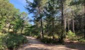 Trail Walking Rognes - Rognes virée dans les vignes sur le sentier des vignerons - Photo 5