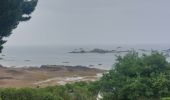 Trail Walking Paimpol - GR_34_DA_22_Paimpol_Ploubaznalec_20240803 - Photo 16