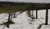 Tour Wandern Neufchâteau - Randonnée à Neufchâteau  - Photo 3