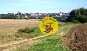 Trail Walking Dammartin-en-Goële - SM_Dammartin-en-Goele-(PR Gérard de NERVAL) 8.4Km - Photo 1