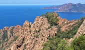 Tour Wandern Piana - tour des châtaigniers de palani - Photo 2