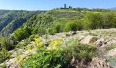 Trail Walking Prévenchères - Garde Guérin /Gorges du chassezac - Photo 9