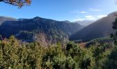 Randonnée Marche Estoublon - estoublon sentier des oliviers gorges trevans 21k 950m  - Photo 6