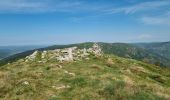 Trail Walking La Souche - Rocher d'Abraham par la Tour des Poignets - Photo 8