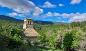 Randonnée Marche Montfroc - Montagne de Palle - Photo 6