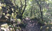 Trail Walking Ansignan - sentier des dolmens en fenouillèdes - Photo 16