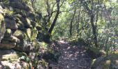 Percorso Marcia Ansignan - sentier des dolmens en fenouillèdes - Photo 16