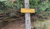Trail Walking Saint-Lary-Soulan - Col d'ourdissetou boucle eco  - Photo 3