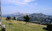 Randonnée Marche Romeyer - rochers de Plautret - Photo 1