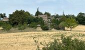 Trail Horseback riding Céreste - Provence 2025 J3 - Photo 10