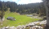 Excursión Senderismo Entremont-le-Vieux - Sommet Pinet à partir de la Balme - Photo 12