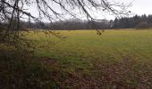 Trail Walking Ornans - Bonnevaux du bas - Photo 5