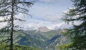 Trail Walking Uvernet-Fours - rando col de la cloche 8/07/2021 - Photo 6