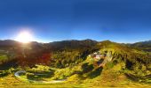 Tocht Te voet Roßleithen - Naturspuren-Wanderweg - Photo 1