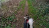 Percorso Marcia Tongeren -  CANI-RANDO TOUR (boucle, Tongres 10km) - Photo 5