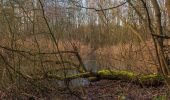 Tour Zu Fuß Bad Bohdanetsch - naučná stezka Gočárův okruh - Photo 3