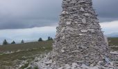 Randonnée Marche Saint-Étienne-les-Orgues - Montagne de Lure, le Cairn 2000. - Photo 9