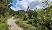 Trail Walking Die - Col de Bergu  - Photo 12