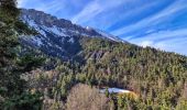 Tour Wandern Le Vernet - Sommet de Grisonnière via le Vernet - Photo 14