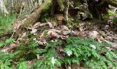 Trail Walking Moncoutant-sur-Sèvre - Chante merle - Photo 2