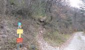 Tocht Stappen Saou - TRK000 - Photo 8