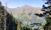 Tour Wandern Cauterets - plateau du lisey 2019 - Photo 2