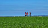 Trail Walking Floreffe - Marche Adeps à Floreffe - Photo 9